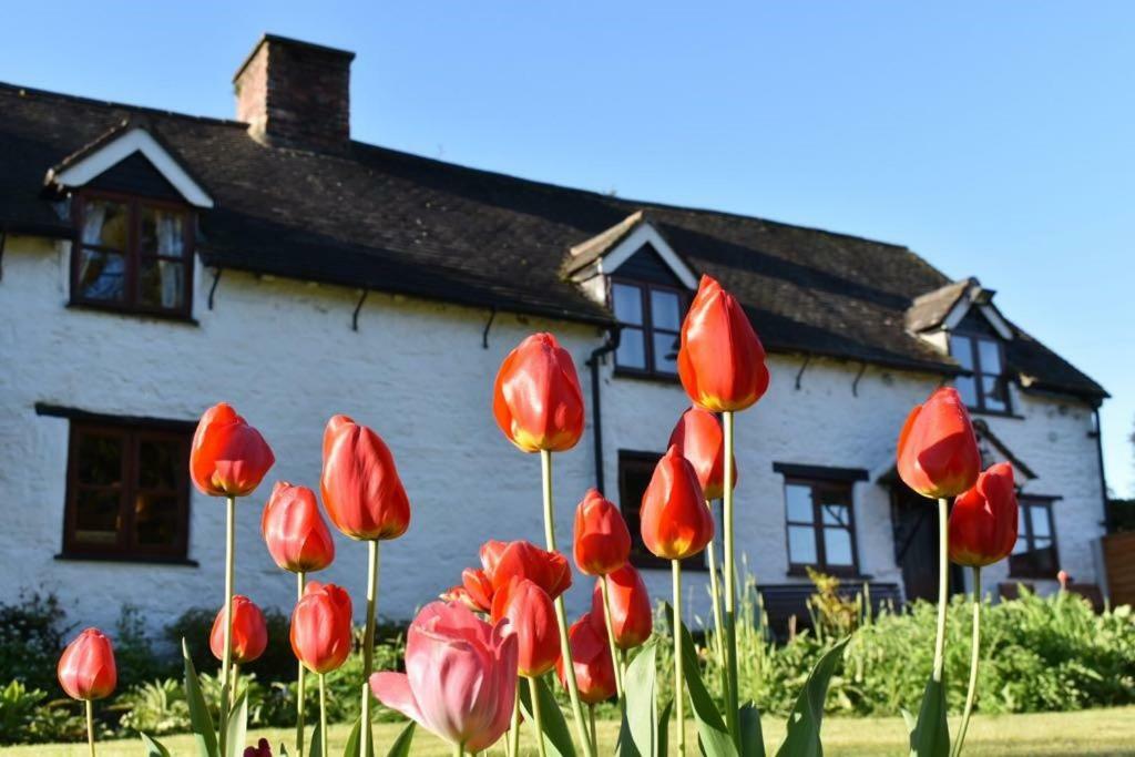 Glencoed B&B เร็กซ์แฮม ภายนอก รูปภาพ